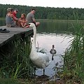 mamuśka pilnuje kąpieliska..