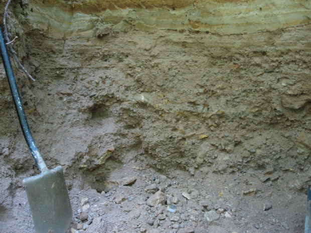 Less i poniżej arkoza (odmiana piaskowca) z okolic Kwaczały
