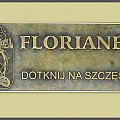 FLORIANEK - Dom Towarowy SOLPOL , ul. Świdnicka 21/23