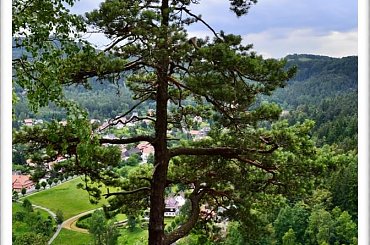 #Burg #klasztor #Kloster #Niemcy #Oybin #Zamek