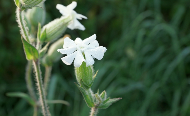 świętokrzyskie