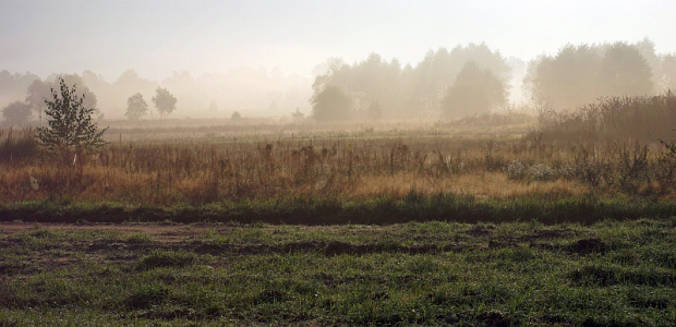 świętokrzyskie