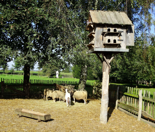 Skansen w Wolsztynie