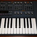Roland JP-8000 Azzorka