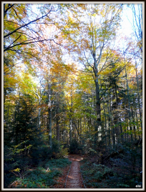 Bieszczady #PodróżeMałeIDuże