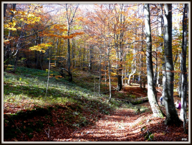 Bieszczady #PodróżeMałeIDuże