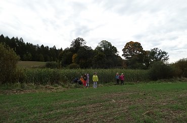 #spacer #KlasaII #jesień