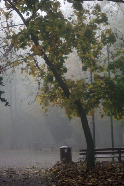 KIELCE