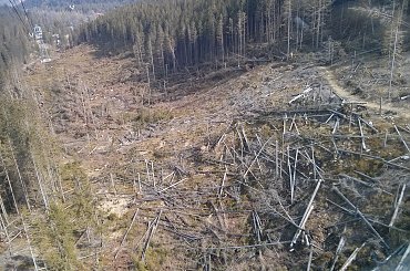 W drodze powrotnej z Kasprowego #góry #Tatry #Zakopane