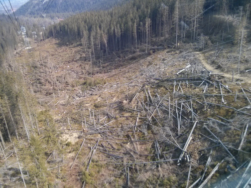 W drodze powrotnej z Kasprowego #góry #Tatry #Zakopane