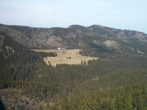 W drodze powrotnej z Kasprowego - Kalatówki #góry #Tatry #Zakopane