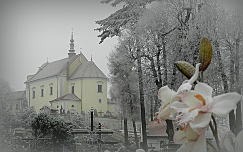 W drodze na Zlot do Krakowa - Kościół św. Bartłomieja w Morawicy