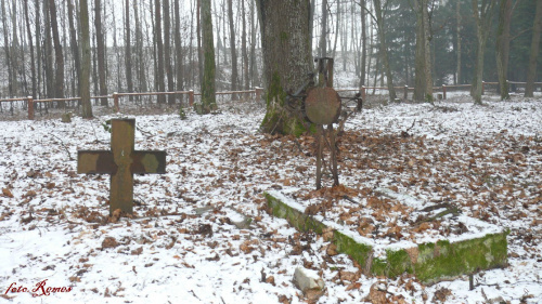 Dłutowo - cmentarz ewangelicki 2014.12.19 #Dłutowo