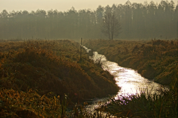 ŚWIĘTOKRZYSKIE