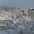 trochę zimy w jedną noc
