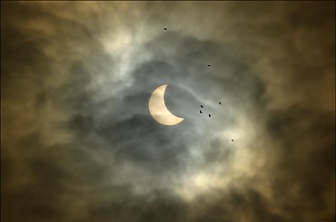 Zaćmienie słońca obserwowałam nad morzem ... ptaki miały lepszy widok :) #ZaćmienieSłońca