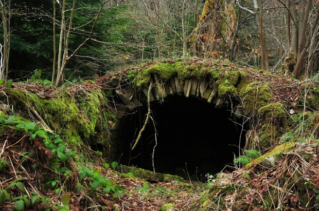 Beskid Niski - pozostałości po dawnej wsi łemkowskiej Świerzowej Ruskiej - ruiny piwniczki