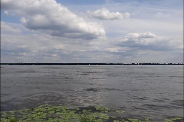 W naszym porcie #PiesSznaucerŻagleWoda