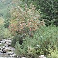 X spotkanie GG Tatry-Głodówka
