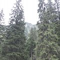X spotkanie GG Tatry-Głodówka