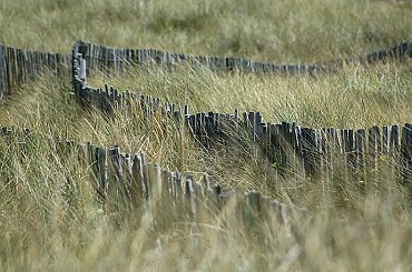 półwysep Quiberon #Quiberon #Bretania #Brittany #Bretagne